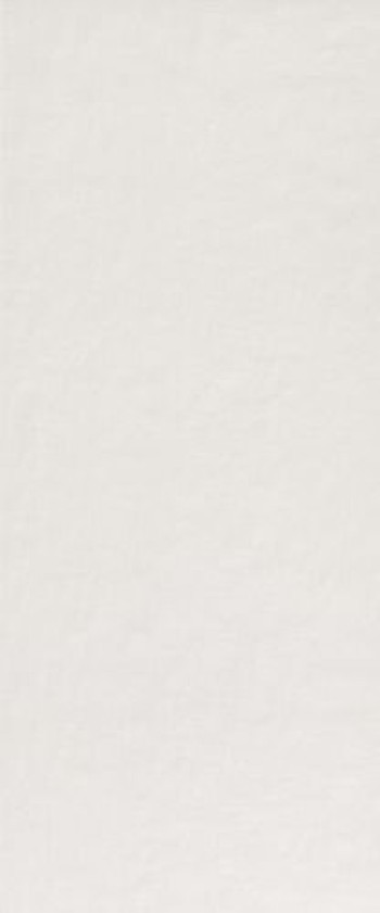 Плитка 120x50 Milano Mood Ghiaccio Matt Fqaw матовая белый бетон, цемент, краска, штукатурка Fap Ceramiche Плитка 120x50 Milano Mood Ghiaccio Matt Fqaw матовая белый бетон, цемент, краска, штукатурка Fap Ceramiche
