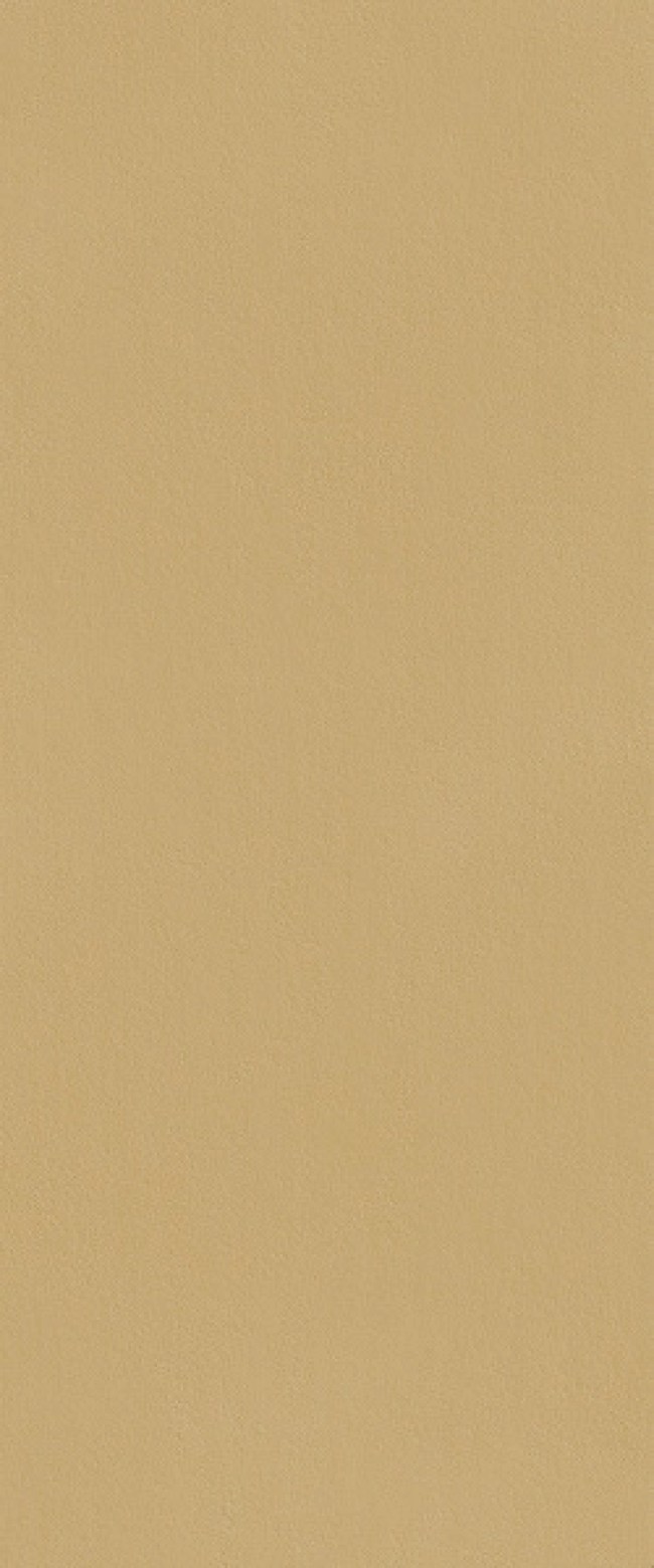 Плитка 120x50 8.5мм Плитка fTDS Тру Колор Карамель RT матовая Fap Ceramiche Плитка 120x50 8.5мм Плитка fTDS Тру Колор Карамель RT матовая Fap Ceramiche