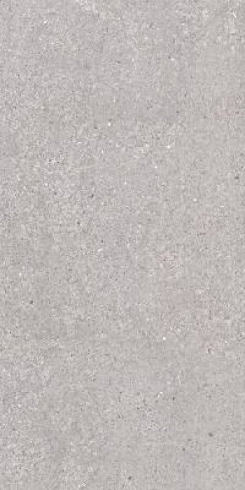 Плитка 120x60 San Vicente Natural Matt Argenta Плитка 120x60 San Vicente Natural Matt Argenta