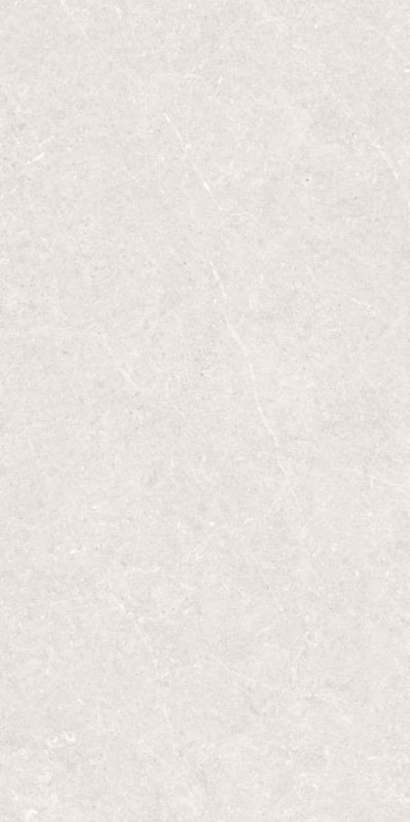 Плитка 120x60 Bergstein Light Matt Artech Argenta Плитка 120x60 Bergstein Light Matt Artech Argenta