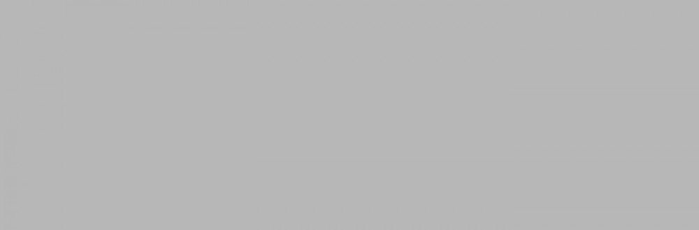 Плитка Garden Gris Liso 10х30 глянцевая Heralgi Плитка Garden Gris Liso 10х30 глянцевая Heralgi
