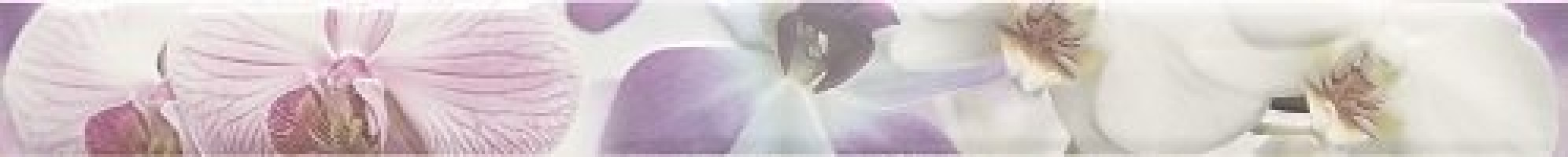 Бордюр Paris Listelo Orquidea Lila 7.5х75 (2рой сорт) глянцевая Mallol Бордюр Paris Listelo Orquidea Lila 7.5х75 (2рой сорт) глянцевая Mallol