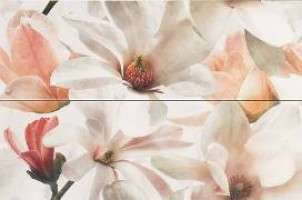 Декор Dream Coral D-827 40х60 глянцевая Myr ceramica Декор Dream Coral D-827 40х60 глянцевая Myr ceramica
