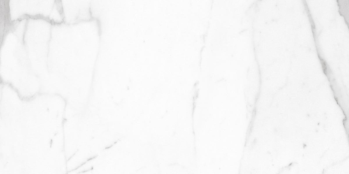 Керамогранит Arabascato Bianco 80х160 (матовая) матовая Ocean Ceramic INDIA Керамогранит Arabascato Bianco 80х160 (матовая) матовая Ocean Ceramic INDIA