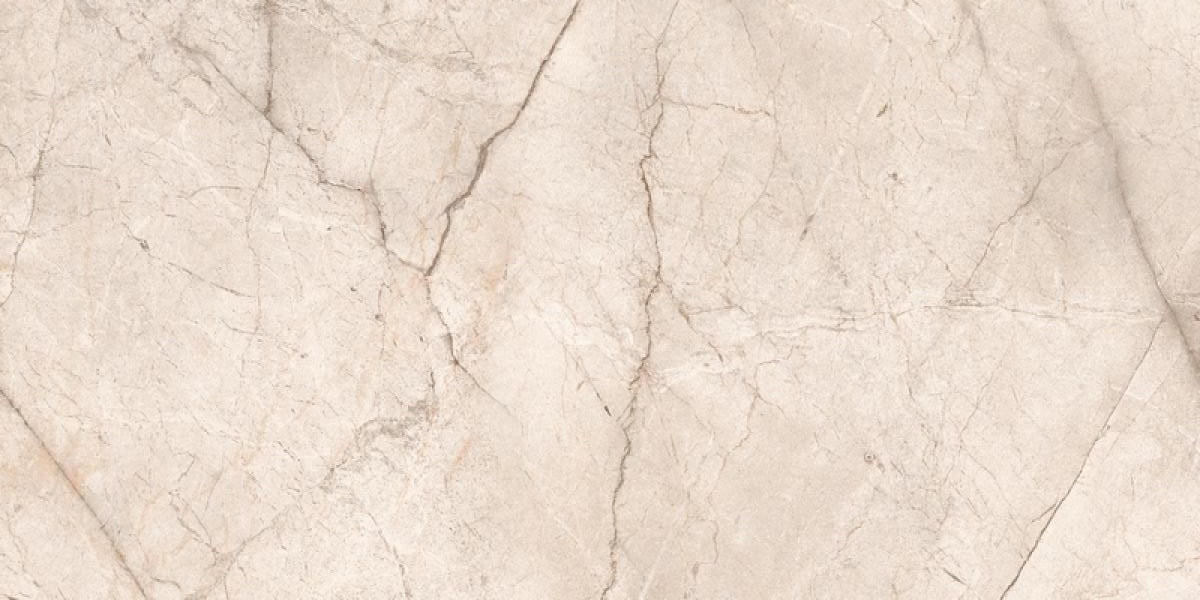 Керамогранит Silver Root Pearl 80х160 полированная Ocean Ceramic INDIA Керамогранит Silver Root Pearl 80х160 полированная Ocean Ceramic INDIA