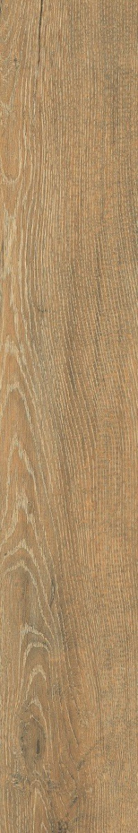 Керамогранит Sweden Caramel 20x120 матовая Ocean Ceramic INDIA NEW Керамогранит Sweden Caramel 20x120 матовая Ocean Ceramic INDIA NEW
