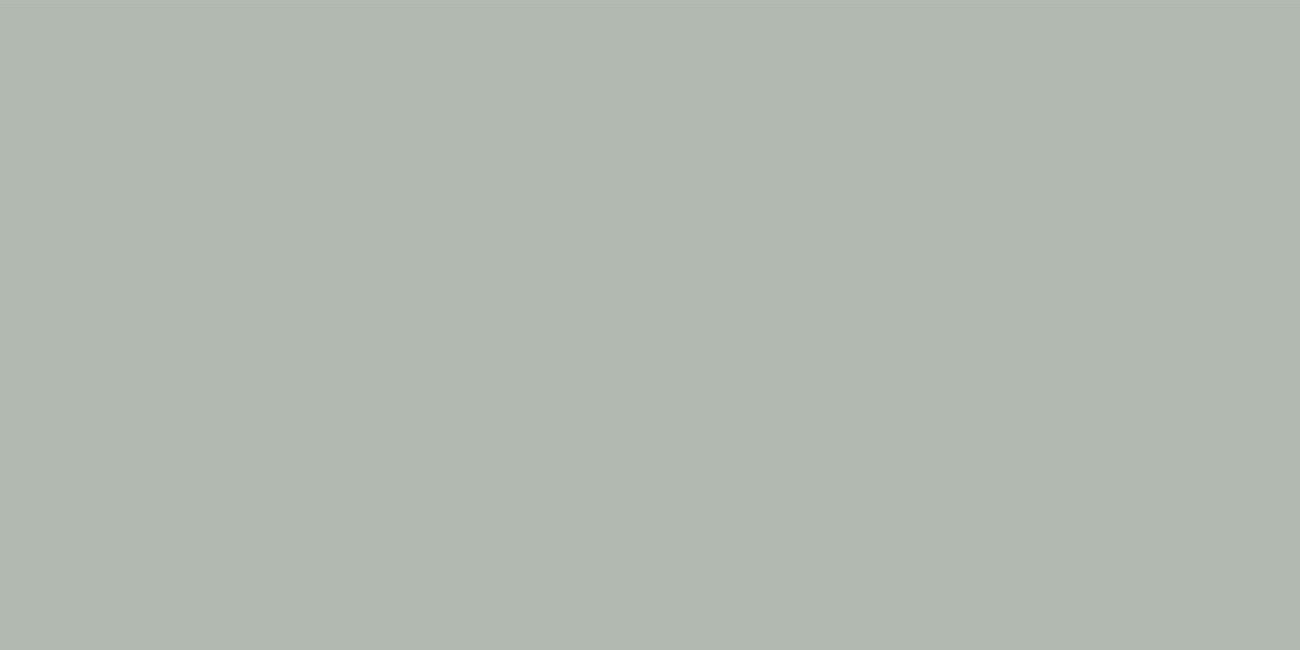 Керамогранит Exotic Olive 60x120 Matt матовая Ocean Ceramic INDIA NEW Керамогранит Exotic Olive 60x120 Matt матовая Ocean Ceramic INDIA NEW