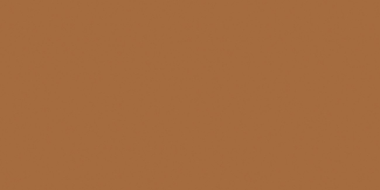 Керамогранит Exotic Light Brown 60х120 Matt матовая Ocean Ceramic INDIA NEW Керамогранит Exotic Light Brown 60х120 Matt матовая Ocean Ceramic INDIA NEW