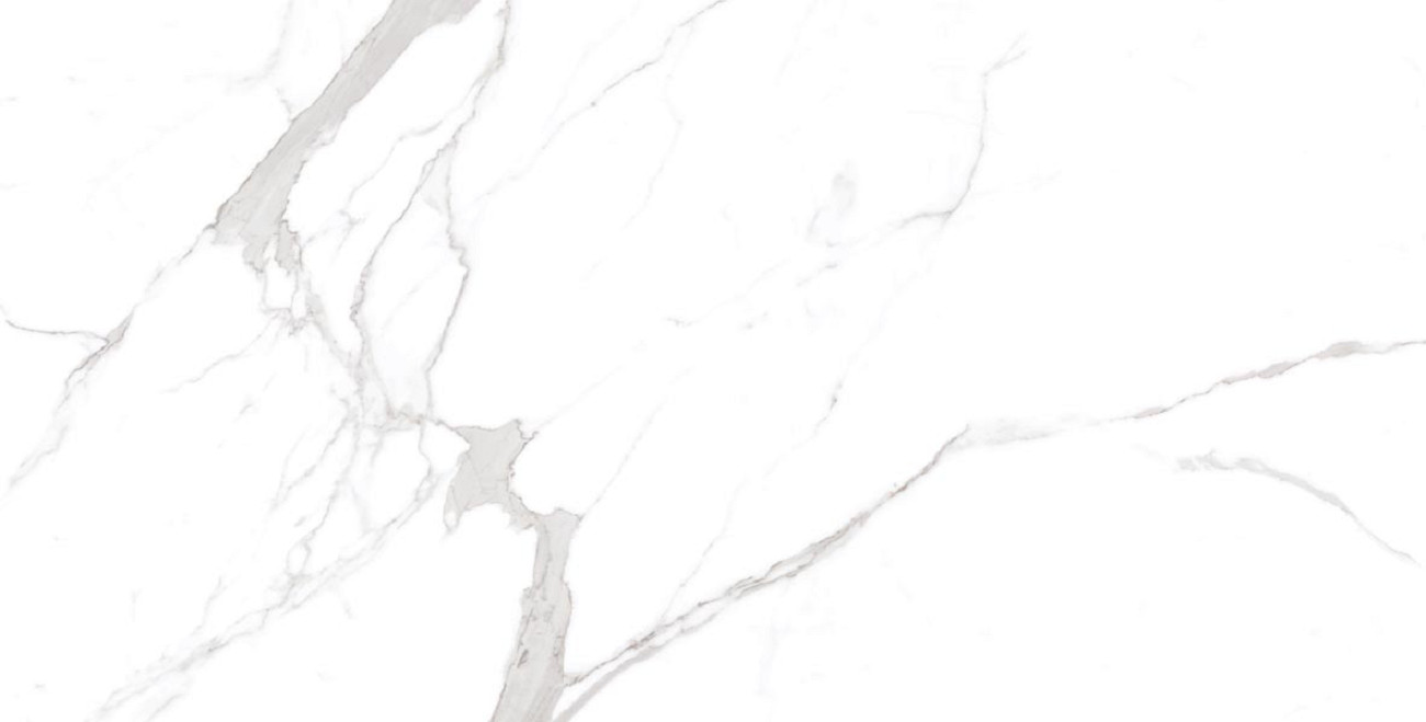 Керамогранит Statuario Orindo 60х120 матовая Ocean Ceramic INDIA NEW Керамогранит Statuario Orindo 60х120 матовая Ocean Ceramic INDIA NEW