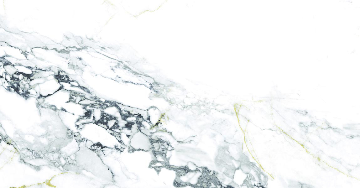 Керамогранит Element Calacutta 60х120 матовая Ocean Ceramic INDIA NEW Керамогранит Element Calacutta 60х120 матовая Ocean Ceramic INDIA NEW