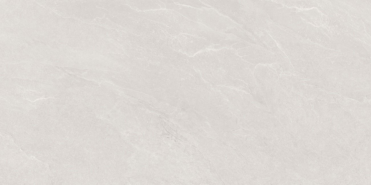 Керамогранит Carbonio White 60х120 матовая Ocean Ceramic INDIA NEW Керамогранит Carbonio White 60х120 матовая Ocean Ceramic INDIA NEW