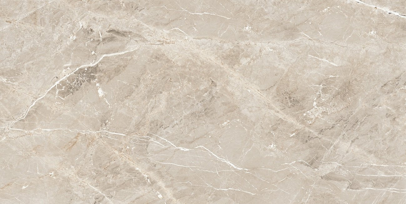 Керамогранит Tulip White 60х120 glossy Ocean Ceramic INDIA NEW Керамогранит Tulip White 60х120 glossy Ocean Ceramic INDIA NEW