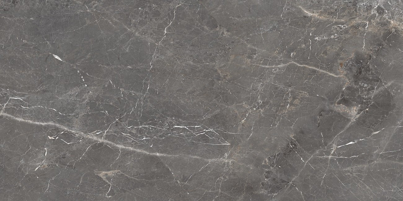 Керамогранит Tulip Grey 60х120 glossy Ocean Ceramic INDIA NEW Керамогранит Tulip Grey 60х120 glossy Ocean Ceramic INDIA NEW