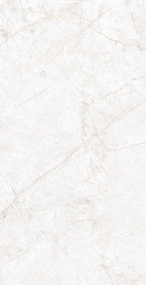 Керамогранит Alabaster Ice 80х160 carving Ocean Ceramic INDIA NEW Керамогранит Alabaster Ice 80х160 carving Ocean Ceramic INDIA NEW