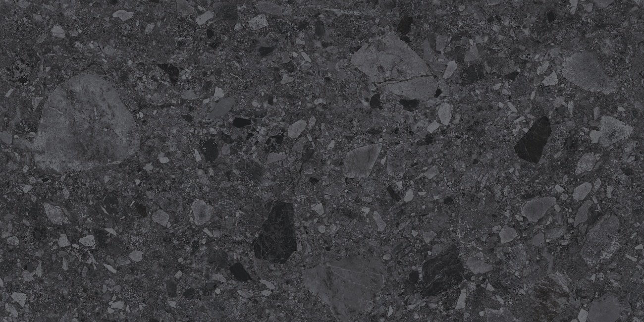 Керамогранит Fossil Svart 60х120 матовая Ocean Ceramic INDIA NEW Керамогранит Fossil Svart 60х120 матовая Ocean Ceramic INDIA NEW