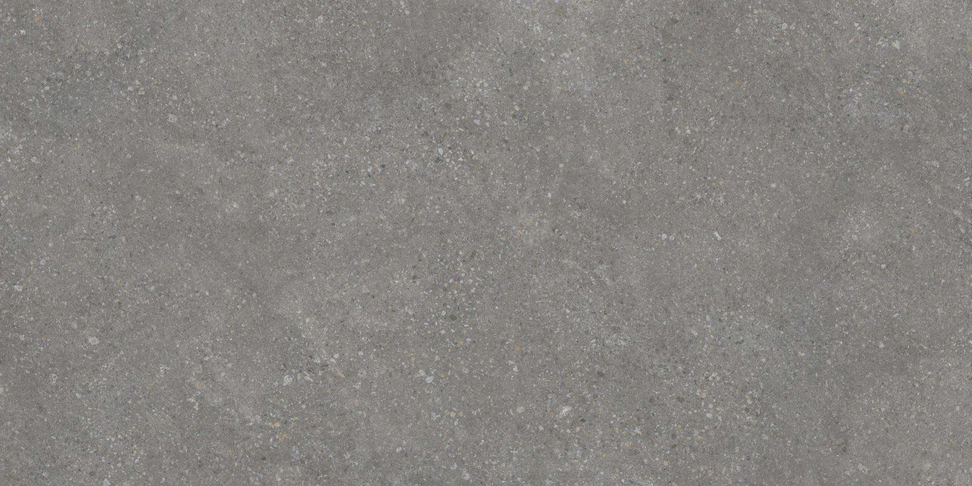 Керамогранит Pietra Grey 60х120 матовая Protiles Керамогранит Pietra Grey 60х120 матовая Protiles
