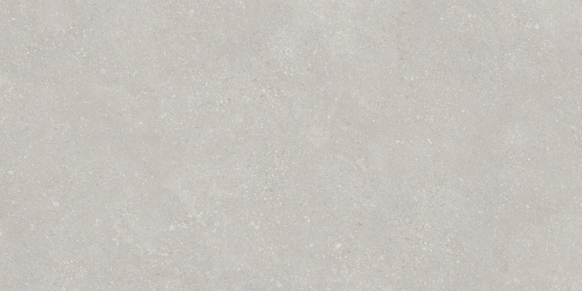 Керамогранит Pietra Light Grey 60х120 матовая Protiles Керамогранит Pietra Light Grey 60х120 матовая Protiles