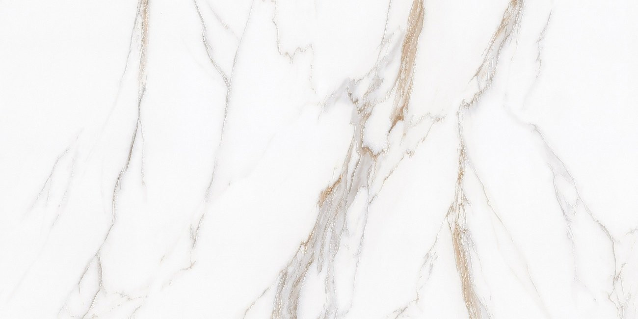 Керамогранит Bianco 60х120 carving Protiles Керамогранит Bianco 60х120 carving Protiles