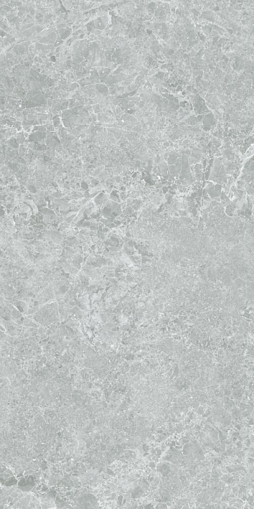 Керамогранит 120x60 P.E. 3DB Charisma grey mt rect матовая серый STN Ceramica Керамогранит 120x60 P.E. 3DB Charisma grey mt rect матовая серый STN Ceramica