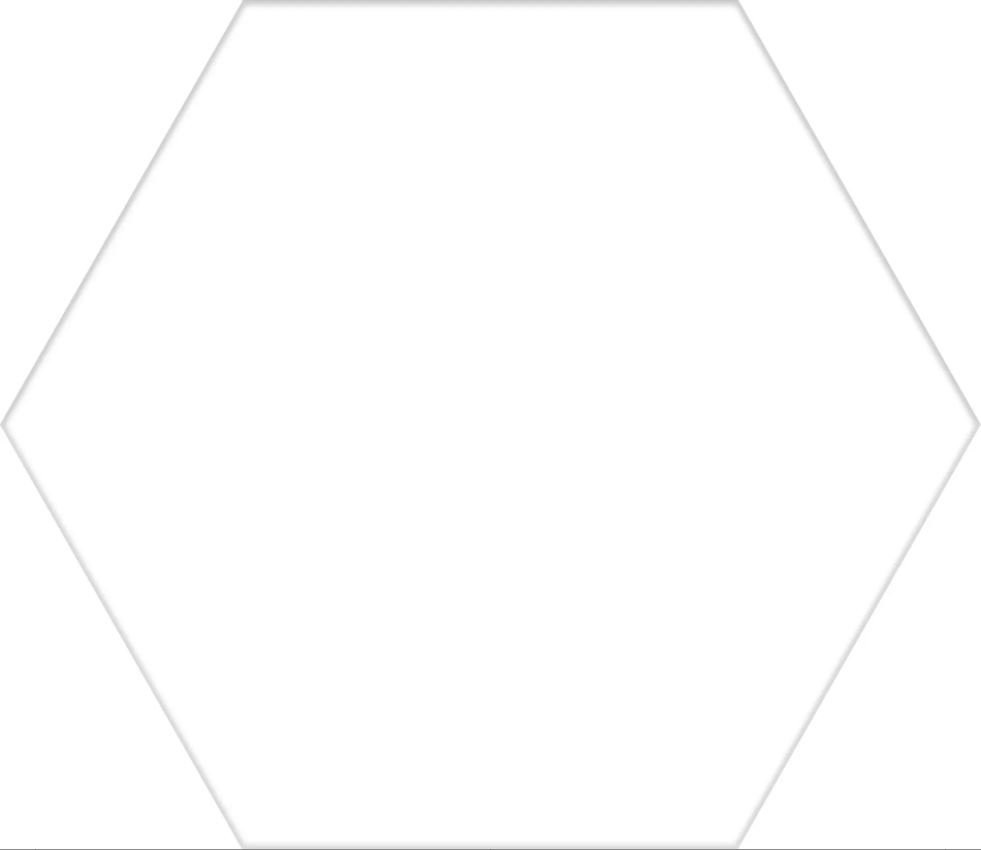 Керамогранит 25x22 Basic White Hex25 8мм Codicer 95 Керамогранит 25x22 Basic White Hex25 8мм Codicer 95