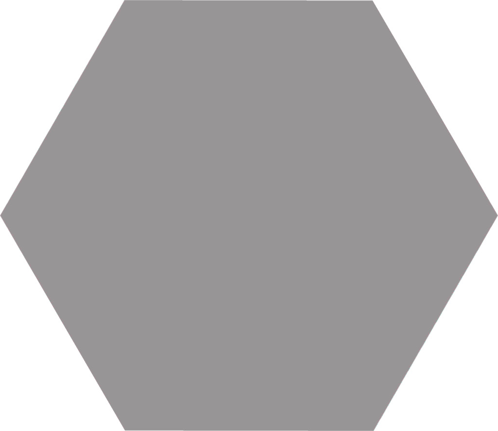 Керамогранит 25x22 Basic Grey Hex25 Codicer 95 Керамогранит 25x22 Basic Grey Hex25 Codicer 95