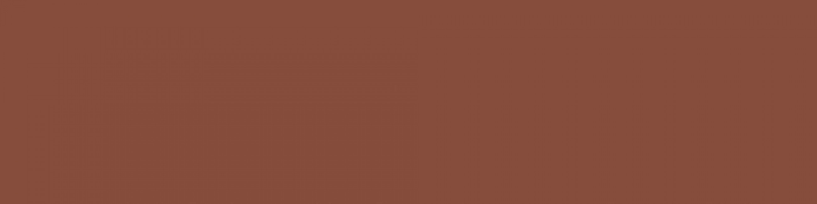 Плитка 30x8 Flat Garnet Matt матовая коричневый Dune Плитка 30x8 Flat Garnet Matt матовая коричневый Dune