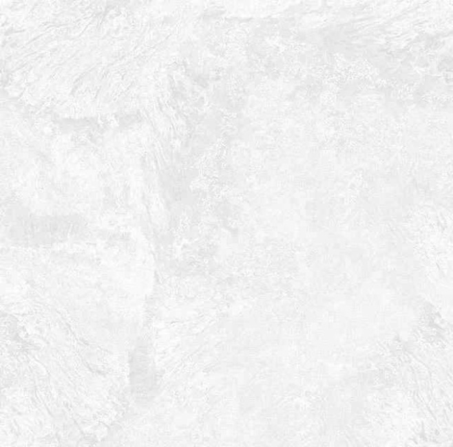 Керамогранит 60x60 Гарден АР-СИ 5100 БЬЯНКО КАРВИНГ матовая белый Шахтинская Керамогранит 60x60 Гарден АР-СИ 5100 БЬЯНКО КАРВИНГ матовая белый Шахтинская