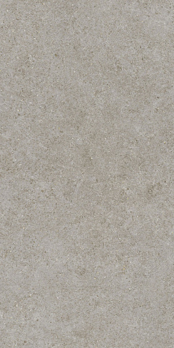 Керамогранит Atlas Concorde 120x60 Boost Stone Grey A6Q8 120x60 Керамогранит Atlas Concorde 120x60 Boost Stone Grey A6Q8 120x60