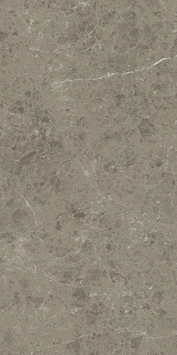 Керамогранит Atlas Concorde 120x60 Marvel Meraviglia Grigio Elegante Matt 9 mm AJIU 120x60 Керамогранит Atlas Concorde 120x60 Marvel Meraviglia Grigio Elegante Matt 9 mm AJIU 120x60