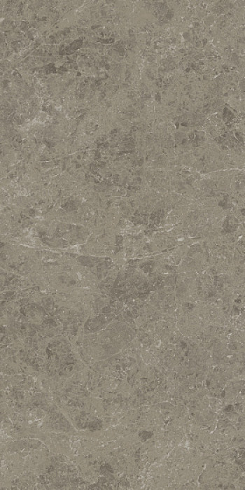 Керамогранит Atlas Concorde 120x60 Marvel Meraviglia Grigio Elegante Lappato 9 mm AJHW 120x60 Керамогранит Atlas Concorde 120x60 Marvel Meraviglia Grigio Elegante Lappato 9 mm AJHW 120x60
