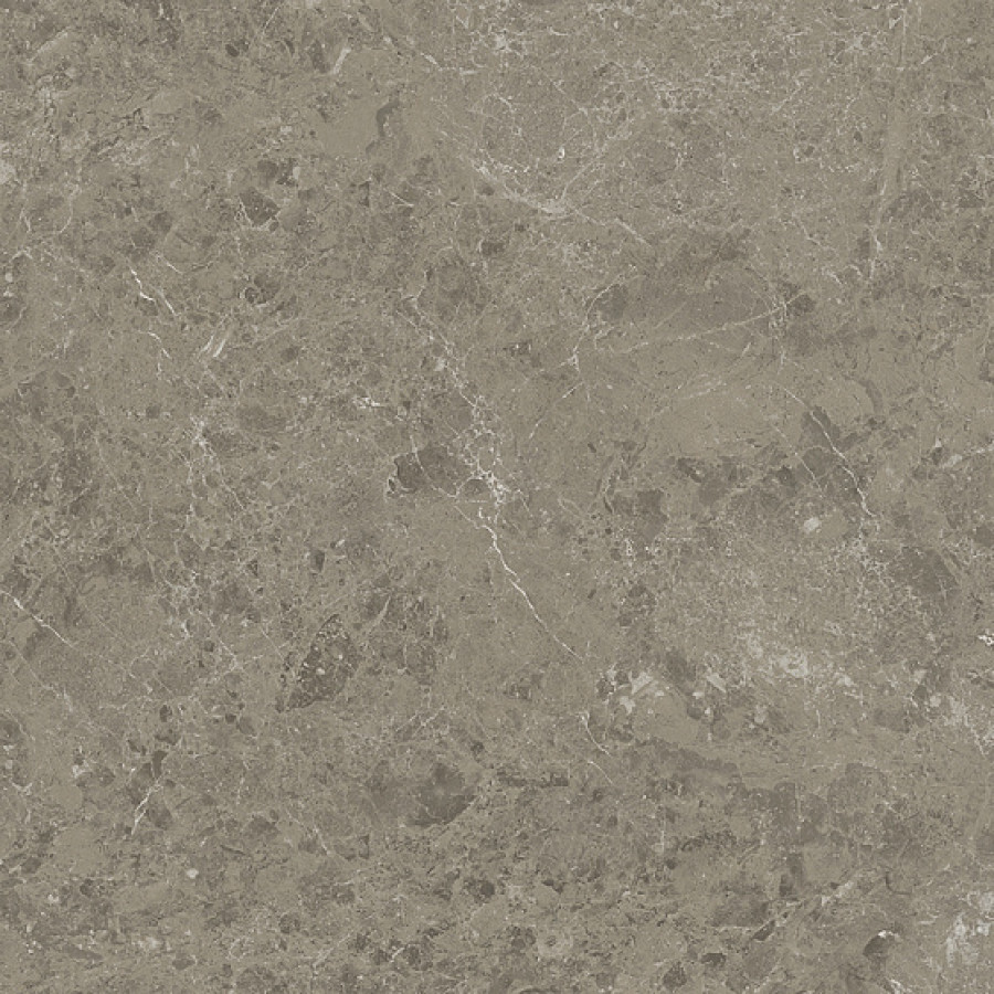 Керамогранит Atlas Concorde 60x60 Marvel Meraviglia Grigio Elegante Matt 9 mm AJJD 60x60 Керамогранит Atlas Concorde 60x60 Marvel Meraviglia Grigio Elegante Matt 9 mm AJJD 60x60