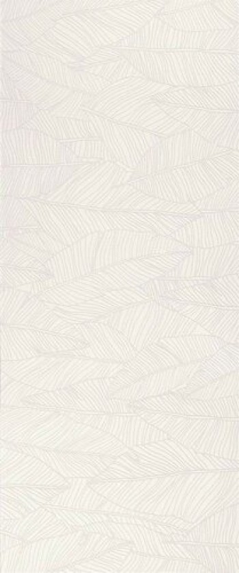 Плитка 120x50 9мм Aplomb White Leaf A6Fc матовая белый под обои Atlas Concorde Плитка 120x50 9мм Aplomb White Leaf A6Fc матовая белый под обои Atlas Concorde