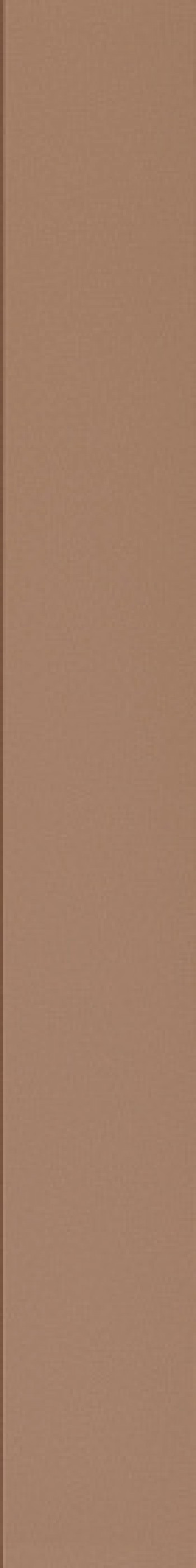 Плитка настенная Wow 40x5 Faces Liso Tan 131519 40x5 Плитка настенная Wow 40x5 Faces Liso Tan 131519 40x5