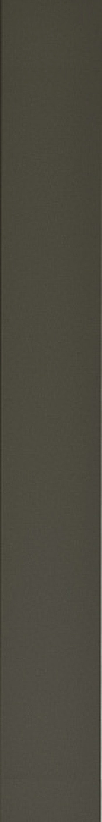 Плитка настенная Wow 40x5 Faces Liso Pine 131518 40x5 Плитка настенная Wow 40x5 Faces Liso Pine 131518 40x5