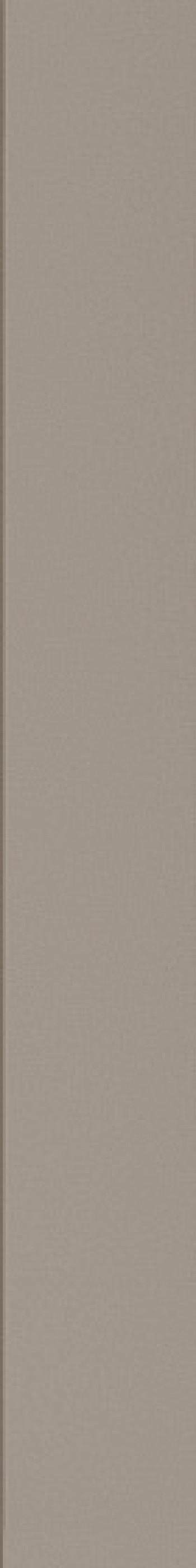 Плитка настенная Wow 40x5 Faces Liso Grey 131516 40x5 Плитка настенная Wow 40x5 Faces Liso Grey 131516 40x5