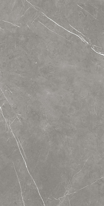 Керамогранит Атлас Конкорд 160x80 Forte Dei Marmi Elegant Grey Матовая 610010002710 160x80 Керамогранит Атлас Конкорд 160x80 Forte Dei Marmi Elegant Grey Матовая 610010002710 160x80