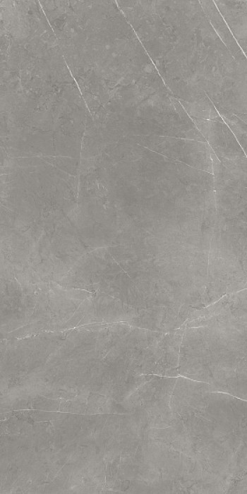 Керамогранит Атлас Конкорд 120x60 Forte Dei Marmi Elegant Grey Сатинированная 610015000657 120x60 Керамогранит Атлас Конкорд 120x60 Forte Dei Marmi Elegant Grey Сатинированная 610015000657 120x60