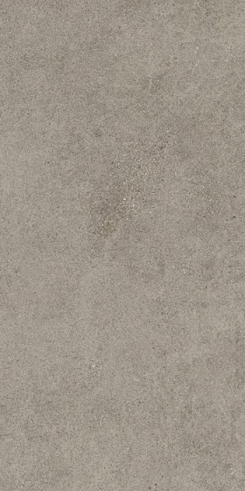 Керамогранит Атлас Конкорд 120x60 Forte Dei Marmi Rock Lunar Grey 610010005821 120x60 Керамогранит Атлас Конкорд 120x60 Forte Dei Marmi Rock Lunar Grey 610010005821 120x60