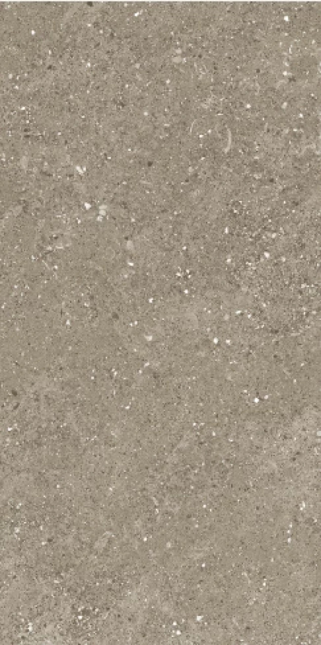 Керамогранит 120x60 9мм Карвинг Марилия Олив Marilia Olive Carving карвинг серый Maimoon Ceramica Керамогранит 120x60 9мм Карвинг Марилия Олив Marilia Olive Carving карвинг серый Maimoon Ceramica