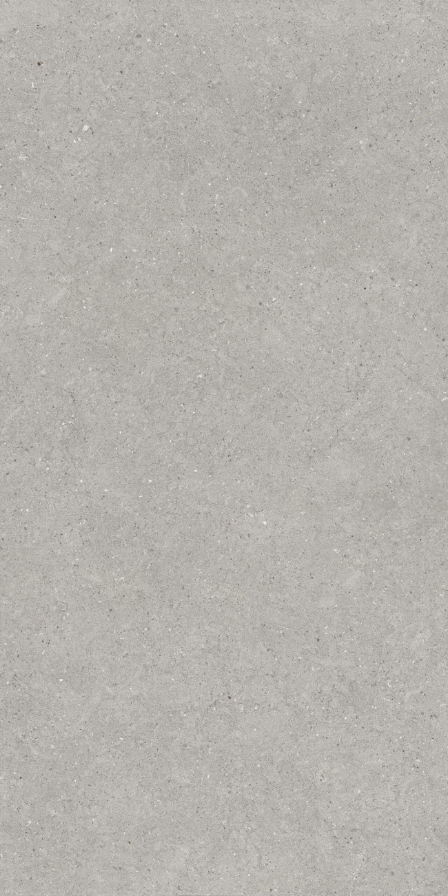 Керамогранит 120x60 Лофт Грей Loft Grey Carving серый Maimoon Ceramica Керамогранит 120x60 Лофт Грей Loft Grey Carving серый Maimoon Ceramica