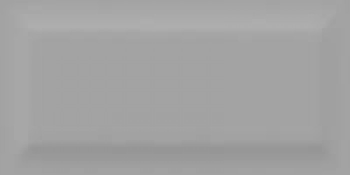 Плитка 20x10 7мм Плитка облицовочная матовая Vernissage Gray 12-01-4-27-20-06-2543 серый Bonaparte Плитка 20x10 7мм Плитка облицовочная матовая Vernissage Gray 12-01-4-27-20-06-2543 серый Bonaparte