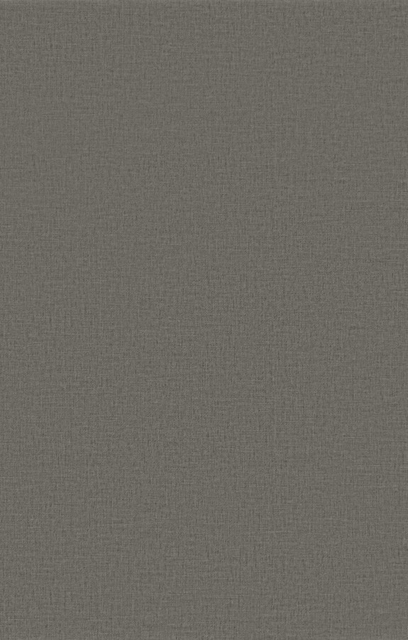 Стеновая панель 280x108 Plane textile grey carbon матовая connect FB1076-A Bonaparte Стеновая панель 280x108 Plane textile grey carbon матовая connect FB1076-A Bonaparte