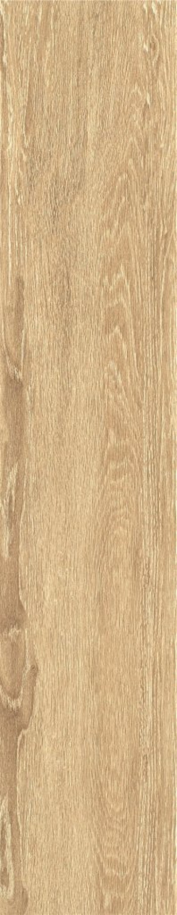 Плитка 100x20 ZC1023058 rect. матовая Тон 4I13-04 Bonaparte Плитка 100x20 ZC1023058 rect. матовая Тон 4I13-04 Bonaparte