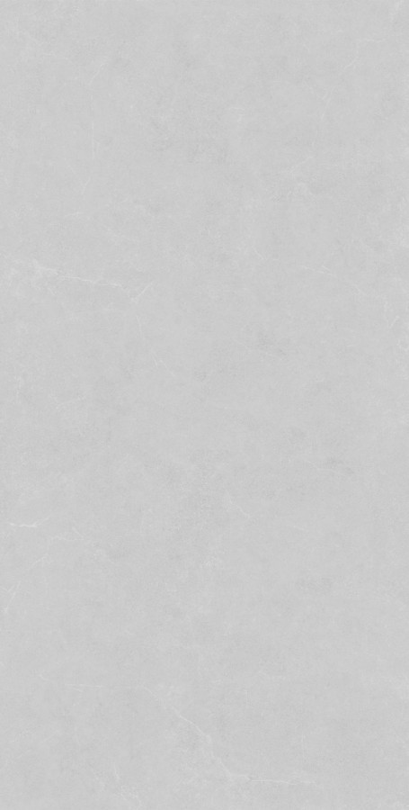 Плитка 120x60 Benefit light grey rect. матовая YGY61287 Bonaparte Плитка 120x60 Benefit light grey rect. матовая YGY61287 Bonaparte