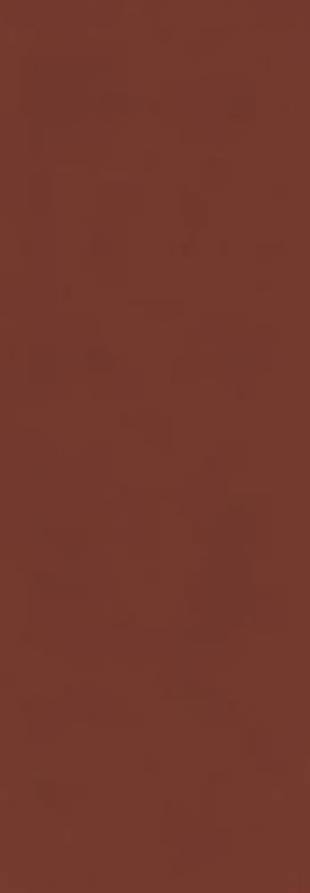 Плитка 100x35 10мм MPL-001997 Cloud Red матовая APE Ceramica Плитка 100x35 10мм MPL-001997 Cloud Red матовая APE Ceramica