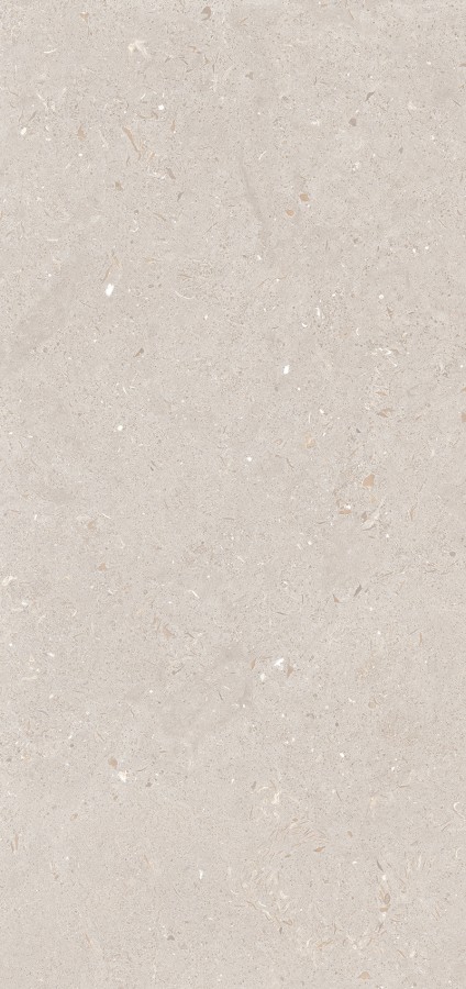 Керамогранит 120x60 8.5мм MPL-061835 Fossil Barley 3pc матовая Simpolo Керамогранит 120x60 8.5мм MPL-061835 Fossil Barley 3pc матовая Simpolo