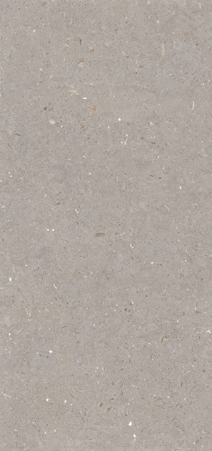 Керамогранит 120x60 8.5мм MPL-061837 Fossil Mud 3pc матовая Simpolo Керамогранит 120x60 8.5мм MPL-061837 Fossil Mud 3pc матовая Simpolo