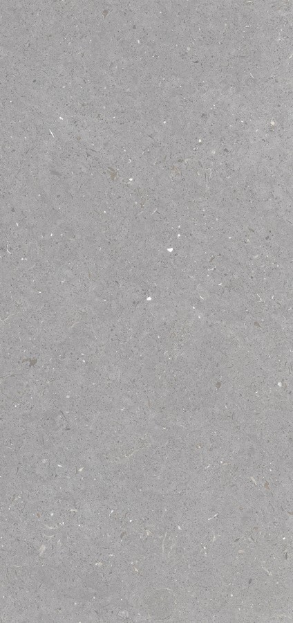 Керамогранит 120x60 8.5мм MPL-061843 Fossil Grey 3pc матовая Simpolo Керамогранит 120x60 8.5мм MPL-061843 Fossil Grey 3pc матовая Simpolo