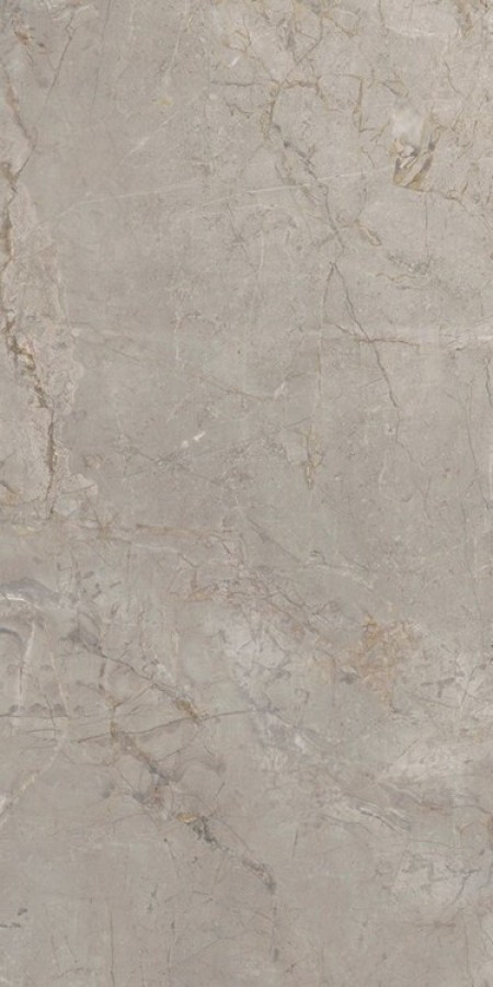 Керамогранит 120x60 9мм Elements Lux Silver Grey Nat 22A2 серый мрамор Keope Ceramiche Керамогранит 120x60 9мм Elements Lux Silver Grey Nat 22A2 серый мрамор Keope Ceramiche
