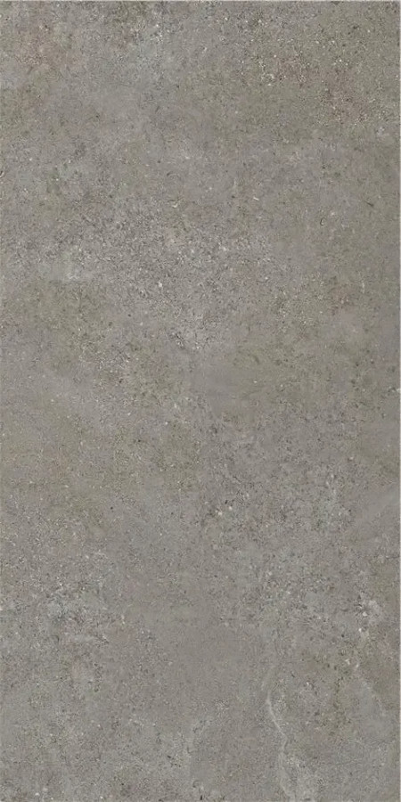 Плитка 120x60 Arenite Dark Grey Mt Stn Плитка 120x60 Arenite Dark Grey Mt Stn